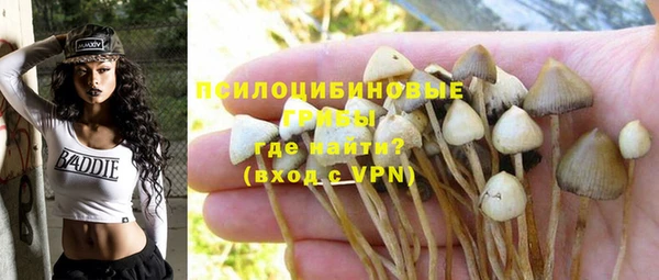 гидропоника Горняк